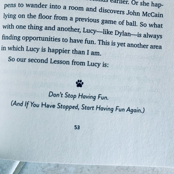 “Lessons from Lucy” Soft Cover Book by Dave Barry - Picture 9 of 9